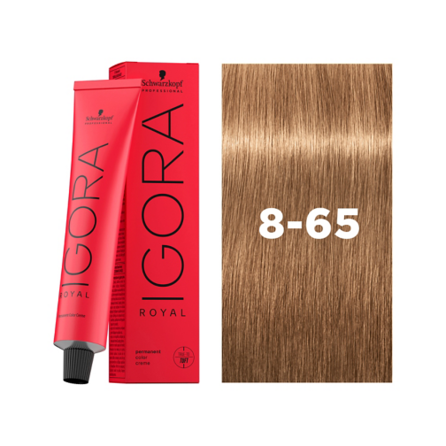IGORA Royal صبغة شعر دائمة أشقر فاتح شوكولاتة ذهبي 8-65 بحجم 60 غرام