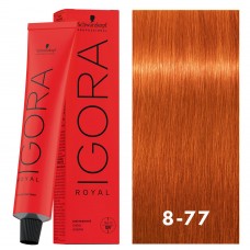 IGORA Royal صبغة شعر دائمة كريمية أشقر فاتح نحاسي 8-77 بحجم 60 غرام