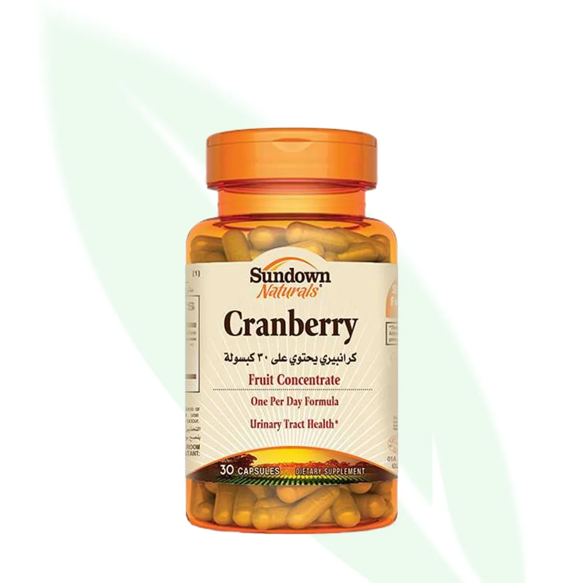 SUNDOWN Cranberry Fruit Concentrate 25000mg 30 Capsules SUNDOWN Cranberry Fruit Concentrate 25000mg 30 Capsules