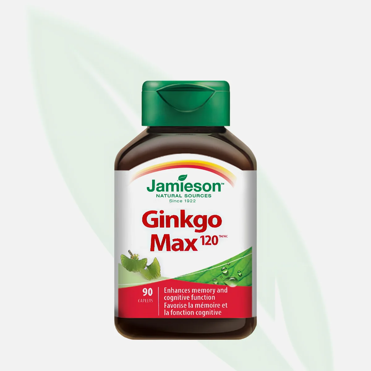 JAMIESON Ginkgo Max 120 Ginkgo Biloba Extract Memory & Circulation Support 90 Caplets JAMIESON Ginkgo Max 120 Ginkgo Biloba Extract Memory & Circulation Support 90 Caplets