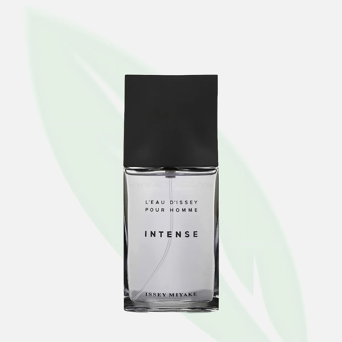 ISSEY MIYAKE