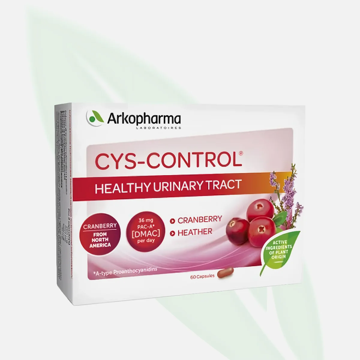 ARKOPHARMA سيس-كنترول بلس للراحة البولية بالتوت البري 14 كيس