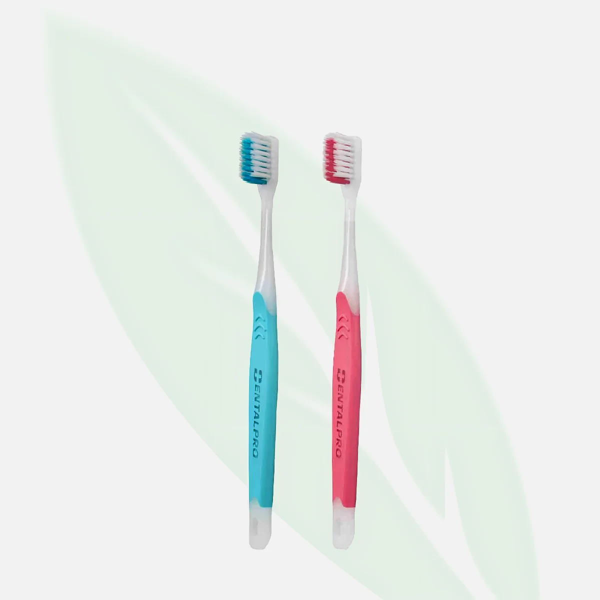 DENTAL PRO