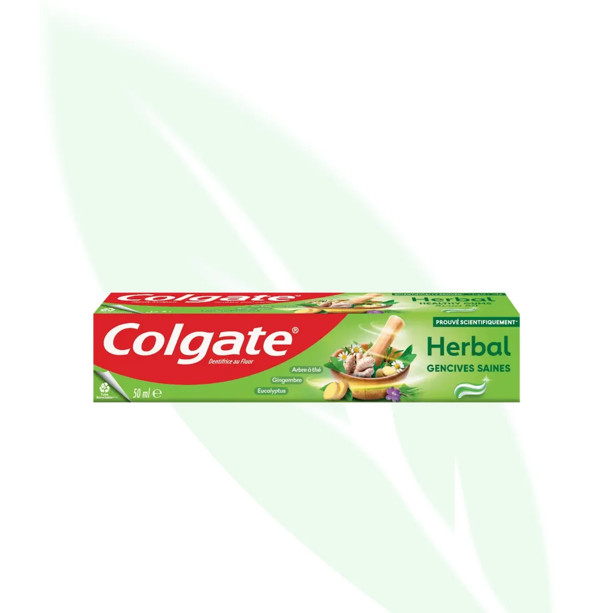 COLGATE Herbal Toothpaste 50ml