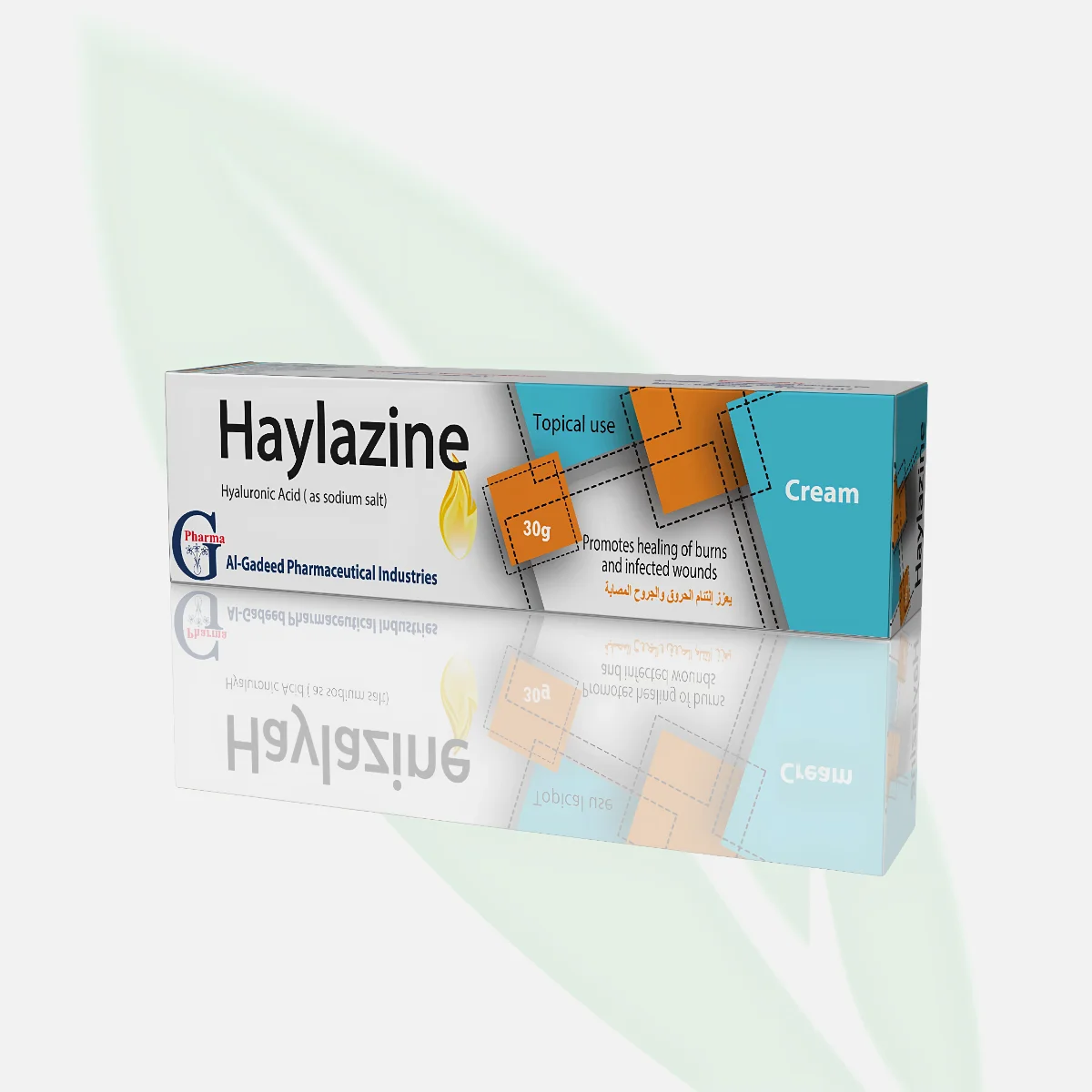 HAYLAZINE