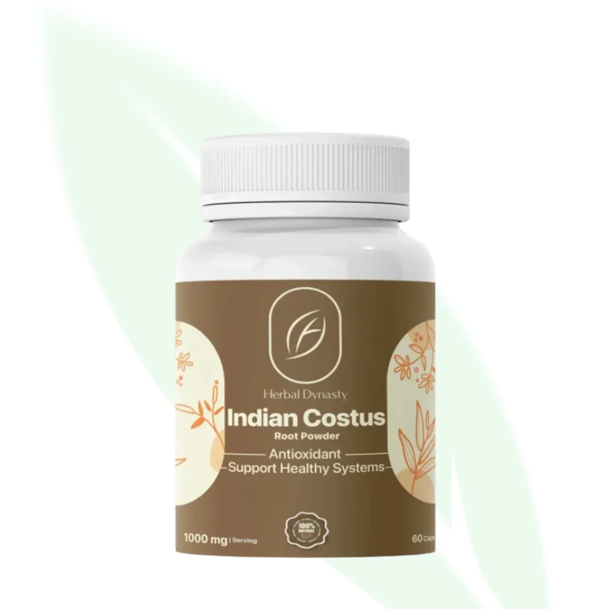 HERBAL DYNASTY Indian Costus 1000mg Thyroid & Immunity Support 60 Capsules