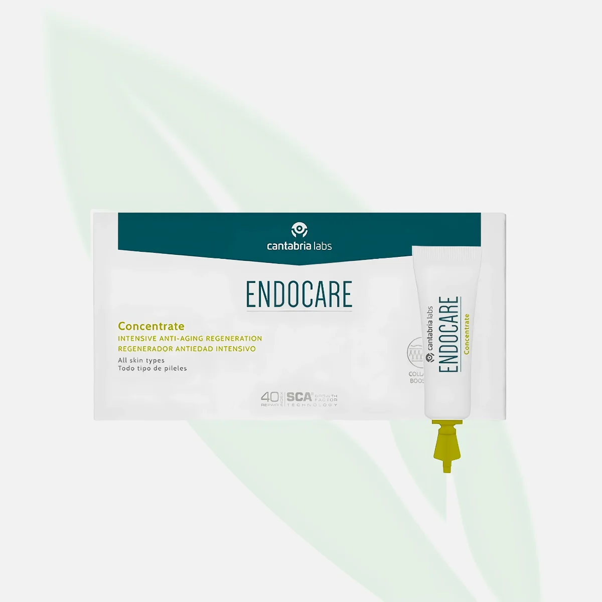 ENDOCARE Concentrate Anti-Aging Regeneration Ampoules 7x1ml ENDOCARE Concentrate Anti-Aging Regeneration Ampoules 7x1ml