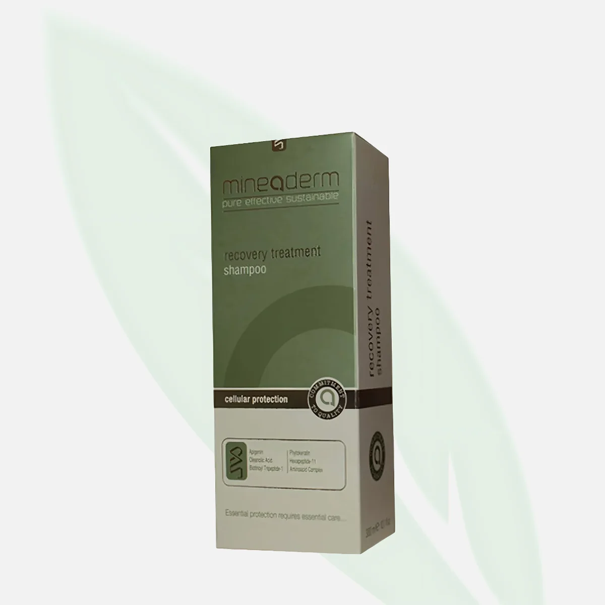MINEADERM Recovery Anti-Hair Loss Treatment Shampoo 300ml