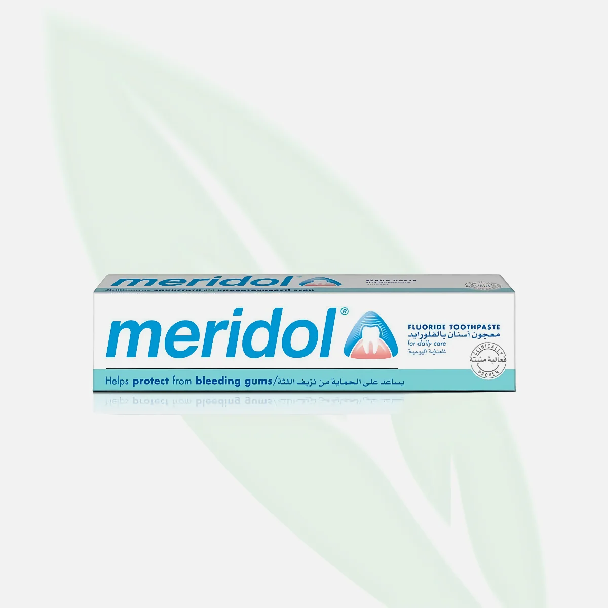MERIDOL Fluoride Gum Protection Toothpaste 75ml