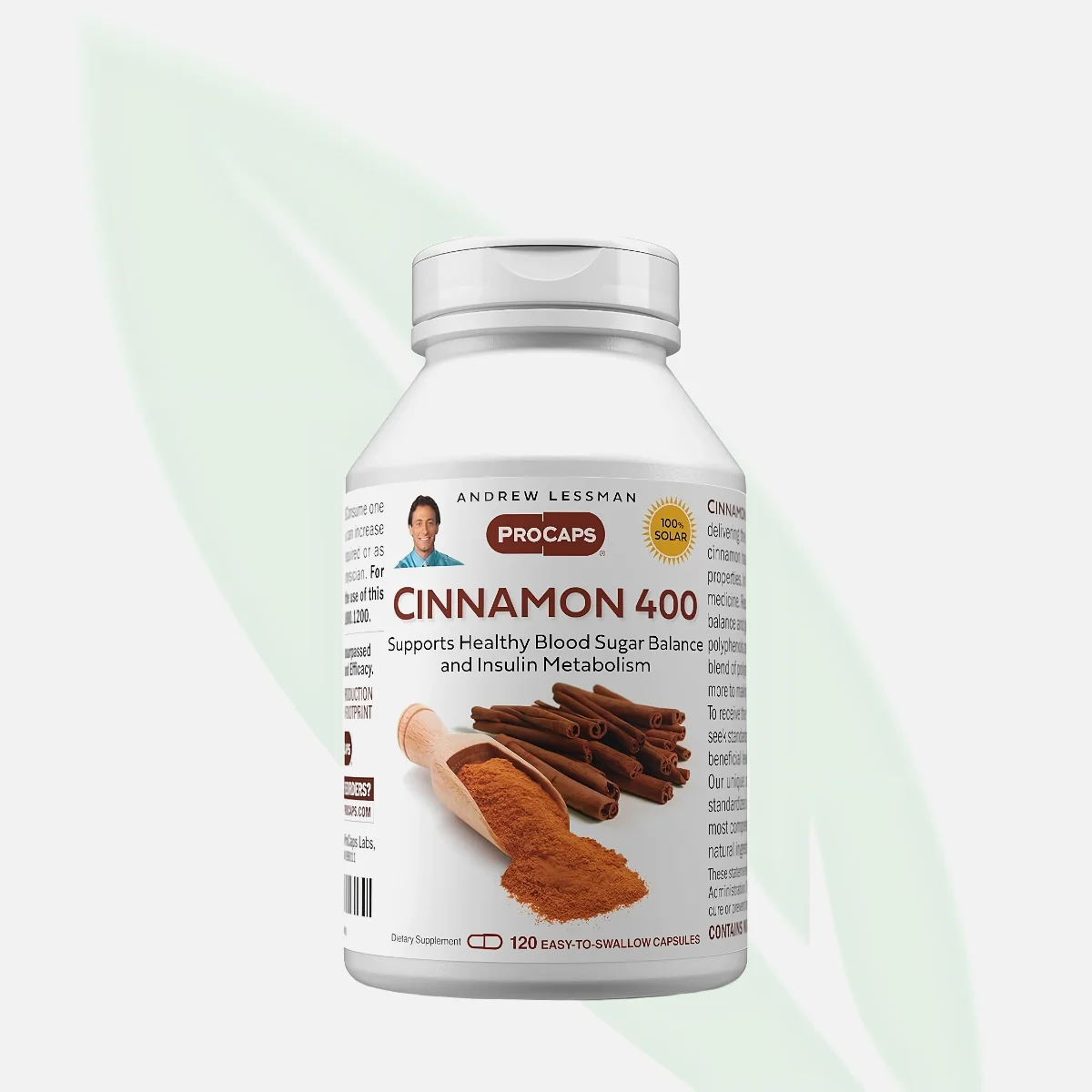 NICE Cinnamon 400mg Metabolic & Blood Sugar Support 60 Capsules