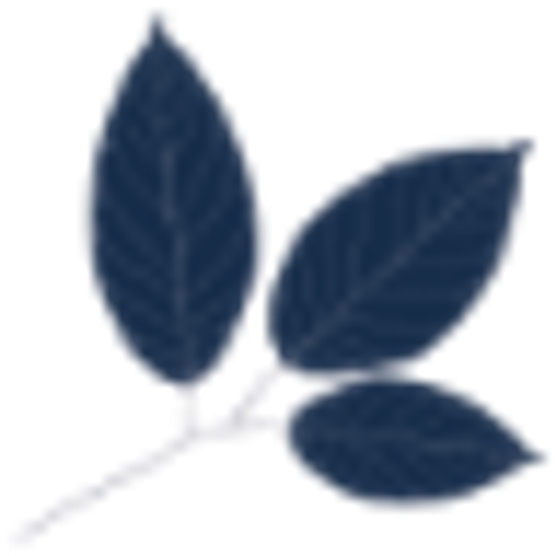 PHYTO